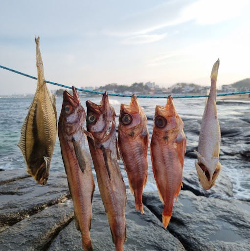 속초사이버장터의 반건조생선 선택, 맛과 건강을 동시에